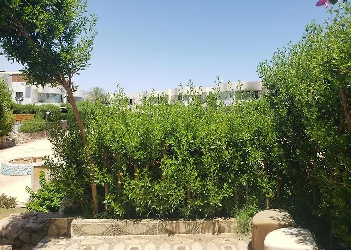Apartment Criss